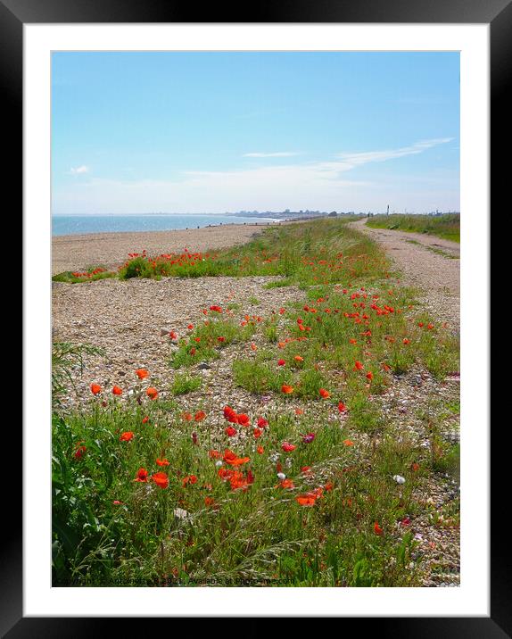 Wild poppies Hythe Ranges  Framed Mounted Print by Antoinette B