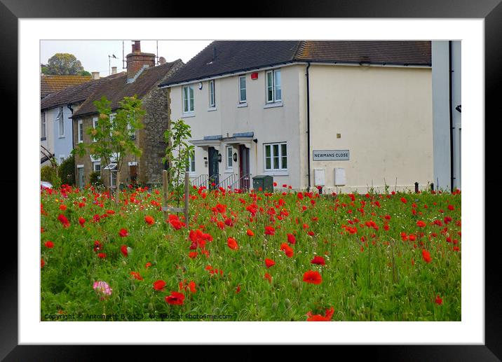 The Triangle Community Garden Hythe Kent  Framed Mounted Print by Antoinette B