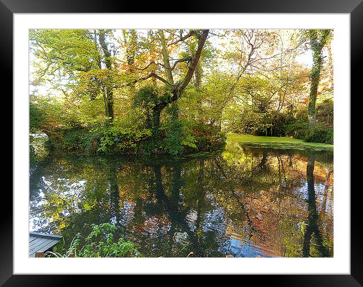 The Pond Framed Mounted Print by Antoinette B