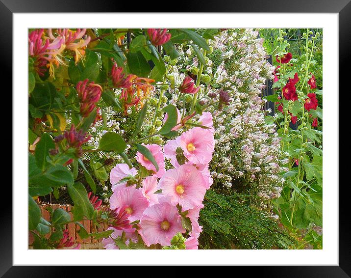 Summer Blooms Framed Mounted Print by Antoinette B
