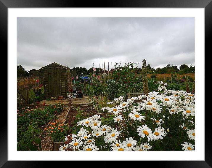 The Allotments In August Framed Mounted Print by Antoinette B