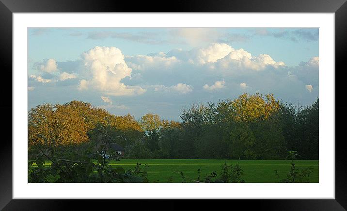 Autumnal Shadows Framed Mounted Print by Antoinette B