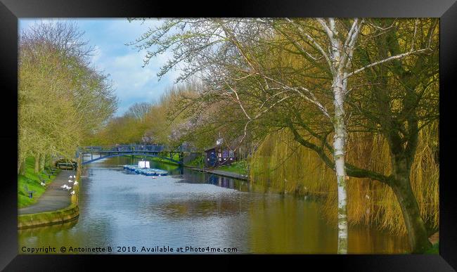 Hythe Royal Military Canal Framed Print by Antoinette B