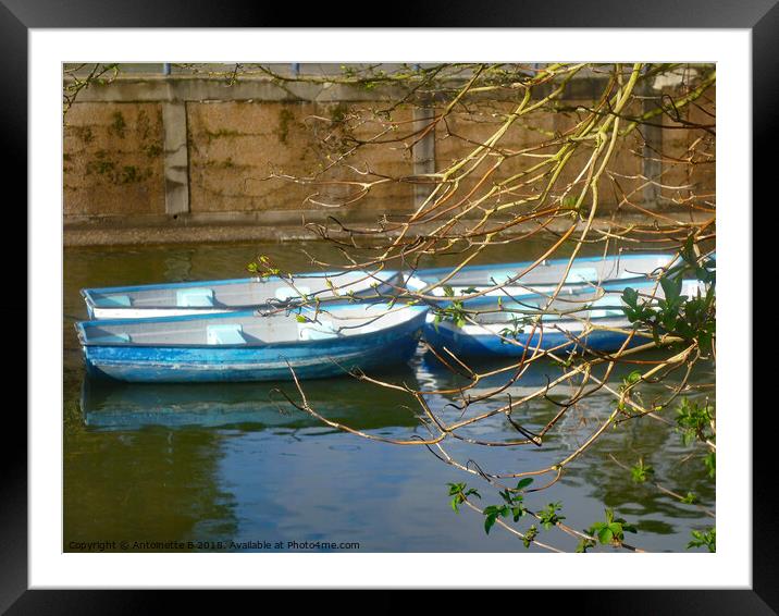 Little blue boats on the canal Framed Mounted Print by Antoinette B