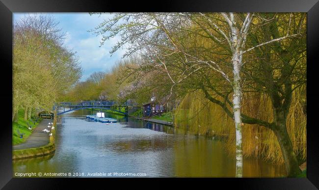 The Royal Military Canal  Framed Print by Antoinette B