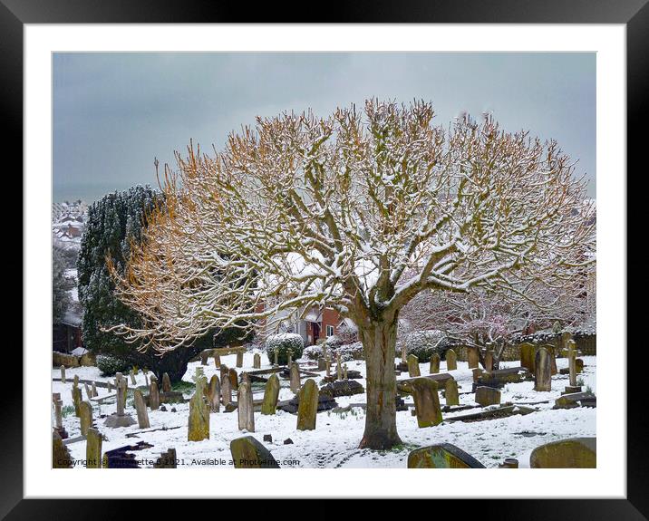 A dusting of snow in the churchyard  Framed Mounted Print by Antoinette B