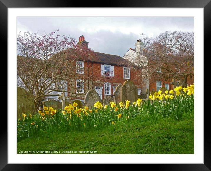 Spring time on Church Hill Hythe Kent  Framed Mounted Print by Antoinette B