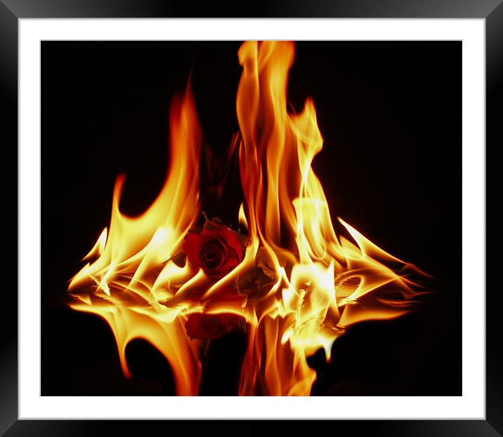 The Burning Fire Of Love Framed Mounted Print by Tony Fishpool