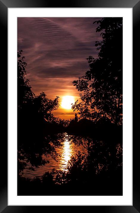 Sunset Through The Trees Framed Mounted Print by Tony Fishpool