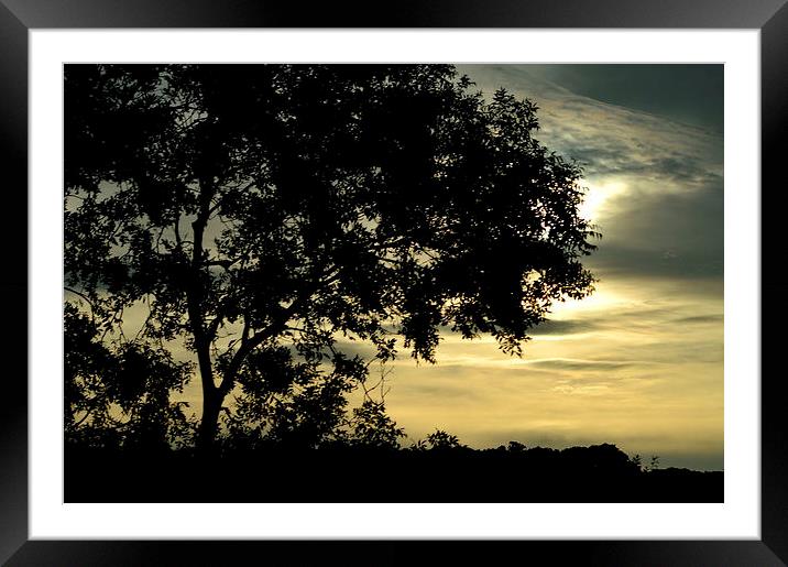 sunset silhouette Framed Mounted Print by Leanne Martin