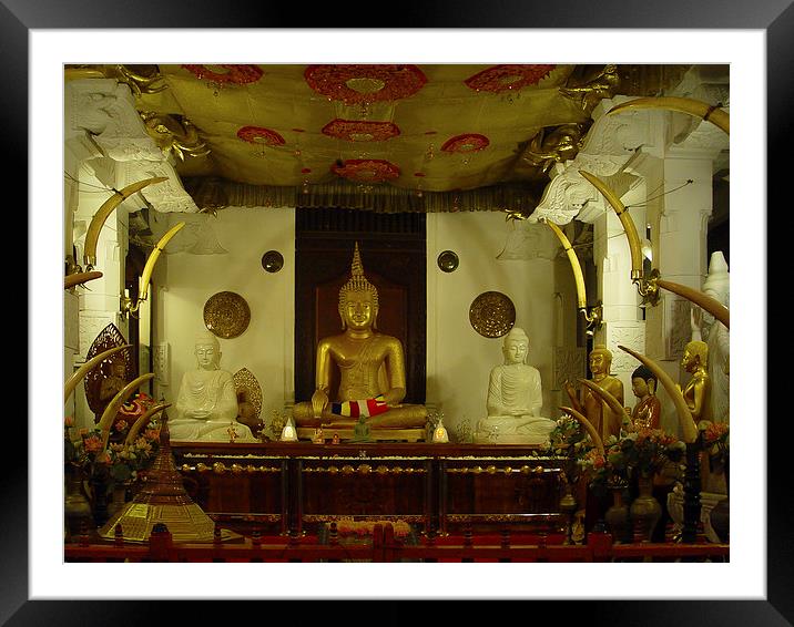 Temple of the Tooth Relic Framed Mounted Print by colin chalkley