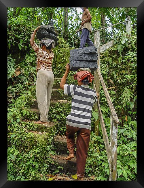 Hard labour in Bali, Indonesia? Framed Print by colin chalkley