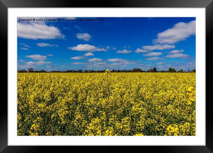 Binfield Heath in Oxfordshire Framed Mounted Print by colin chalkley