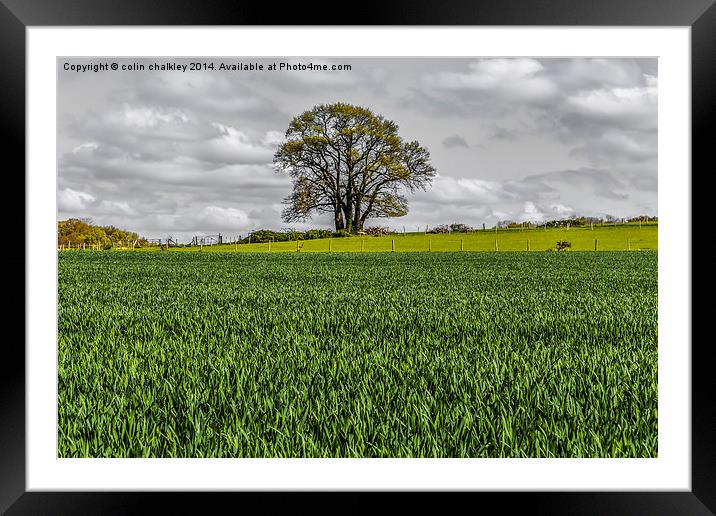 The English Countryside Framed Mounted Print by colin chalkley