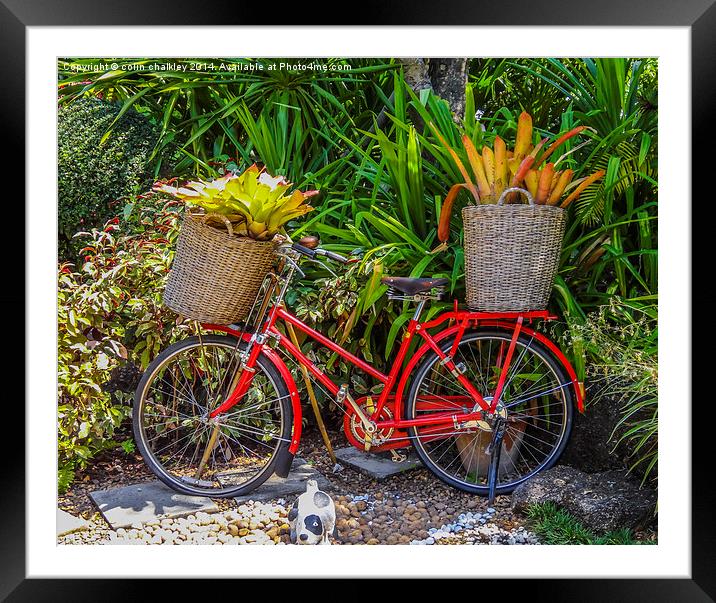  A Bicycle Planter - Thai style Framed Mounted Print by colin chalkley