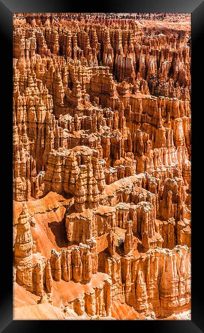 Bryce Canyon Park Framed Print by colin chalkley