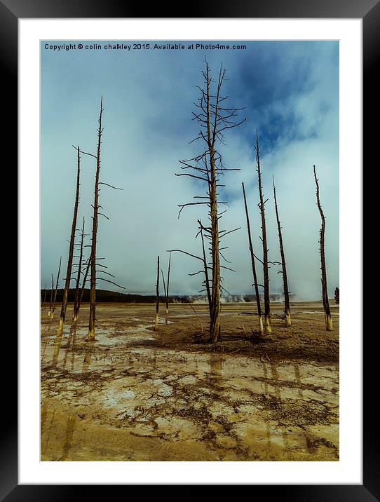  Landscape in Yellowstone National Park Framed Mounted Print by colin chalkley