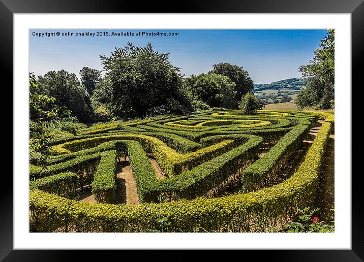  Painswick Rococo Garden Maze Framed Mounted Print by colin chalkley
