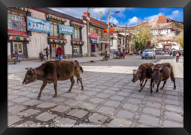 Main Road in Gyantse, Tibet Framed Print by colin chalkley