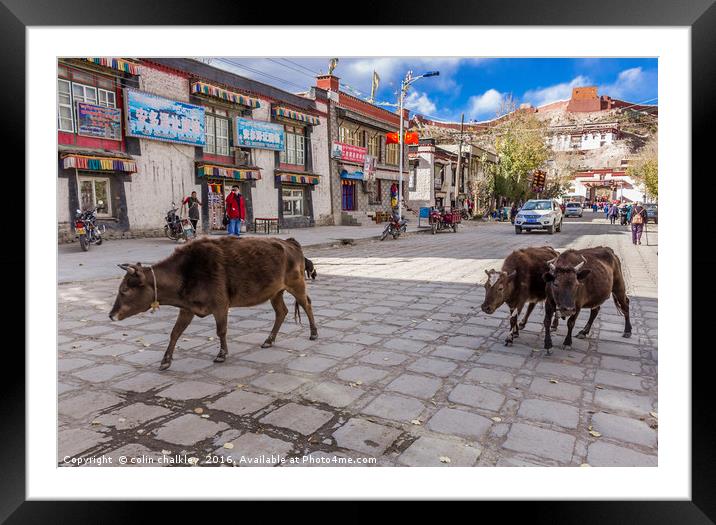 Main Road in Gyantse, Tibet Framed Mounted Print by colin chalkley