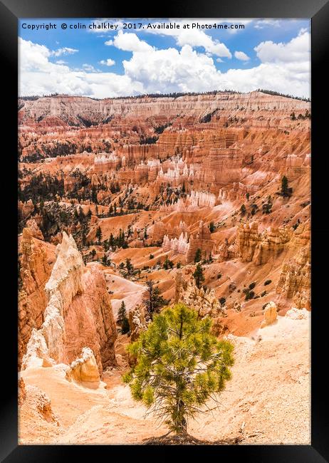 Enchanted Bryce Canyon Hoodoos Framed Print by colin chalkley