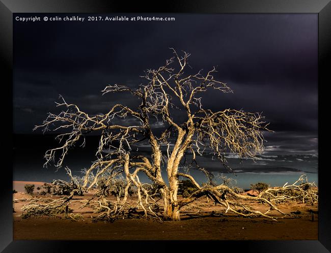Namibia - Surreal Sossusvlie at Dawn Framed Print by colin chalkley