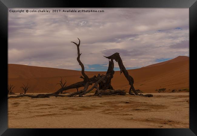 Salt and Clay Pan at Deadvlie, Namibia Framed Print by colin chalkley