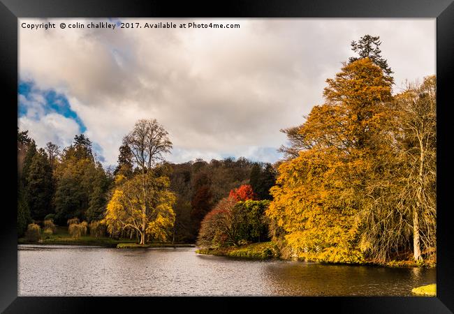 Late November afternoon at Stourhead Gardens Framed Print by colin chalkley