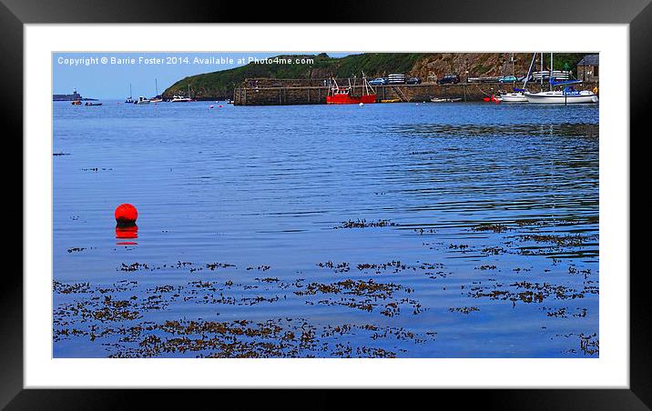  Fishguard Harbour Framed Mounted Print by Barrie Foster
