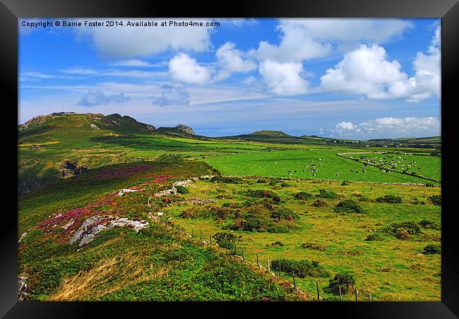  Pembrokeshire Pastoral #2 Framed Print by Barrie Foster
