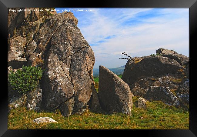 Tŷ Canol, Brynberian Framed Print by Barrie Foster