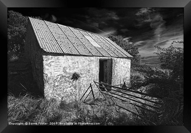 WRIGGLY TIN: GWAUN VALLEY BARN, MONO Framed Print by Barrie Foster