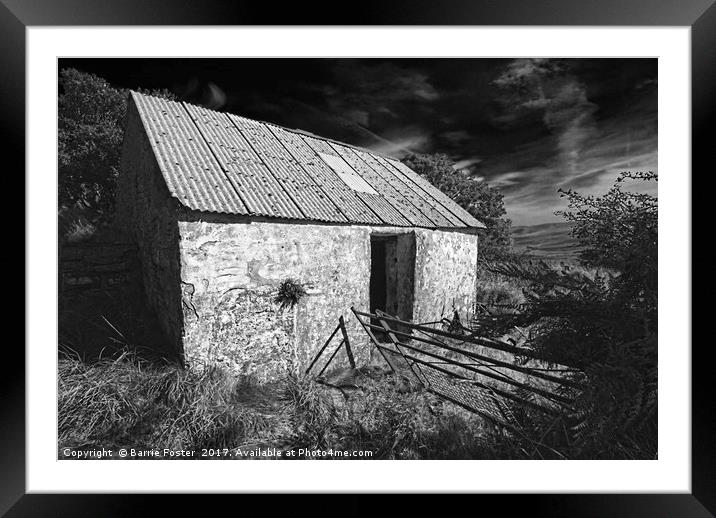 WRIGGLY TIN: GWAUN VALLEY BARN, MONO Framed Mounted Print by Barrie Foster