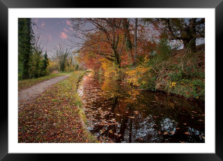 Glorious Autumn colours in Brecon Framed Mounted Print by Leighton Collins