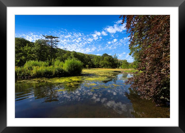 Craig y Nos Country park lake Framed Mounted Print by Leighton Collins