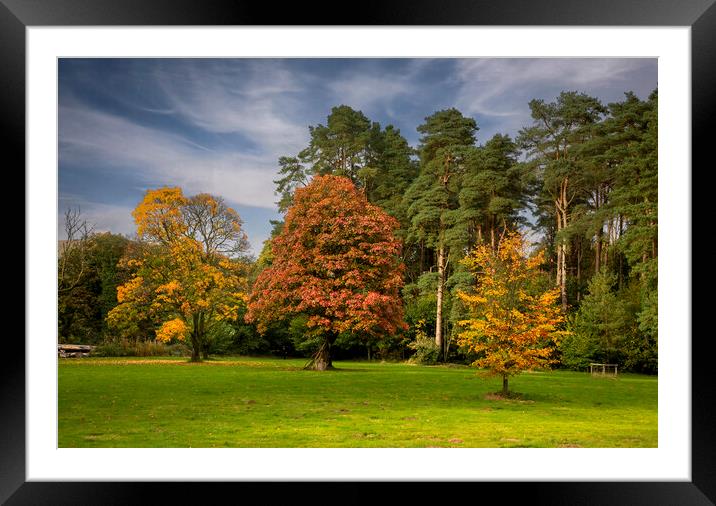 Autumn colours Framed Mounted Print by Leighton Collins