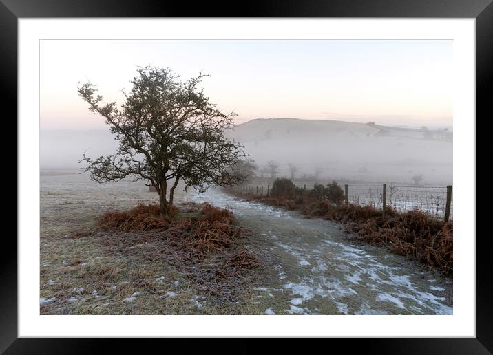 A bare tree and a country path Framed Mounted Print by Leighton Collins