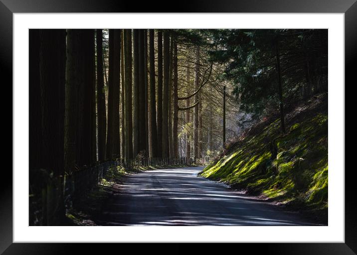 A sunlit country road Framed Mounted Print by Leighton Collins
