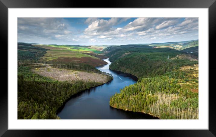 Forestry at Llyn Brianne Framed Mounted Print by Leighton Collins