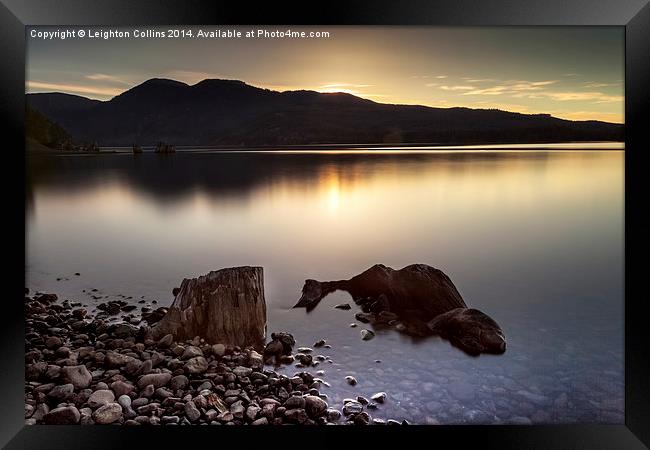 Comox lake sunset Framed Print by Leighton Collins