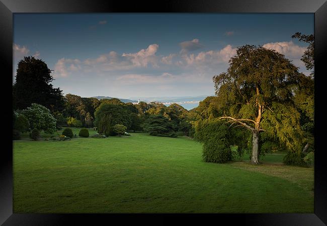  Clyne Valley country park Framed Print by Leighton Collins