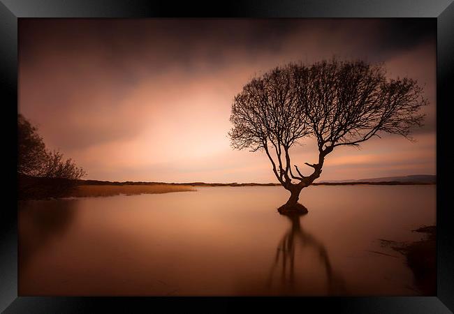  Kenfig pool and tree Framed Print by Leighton Collins