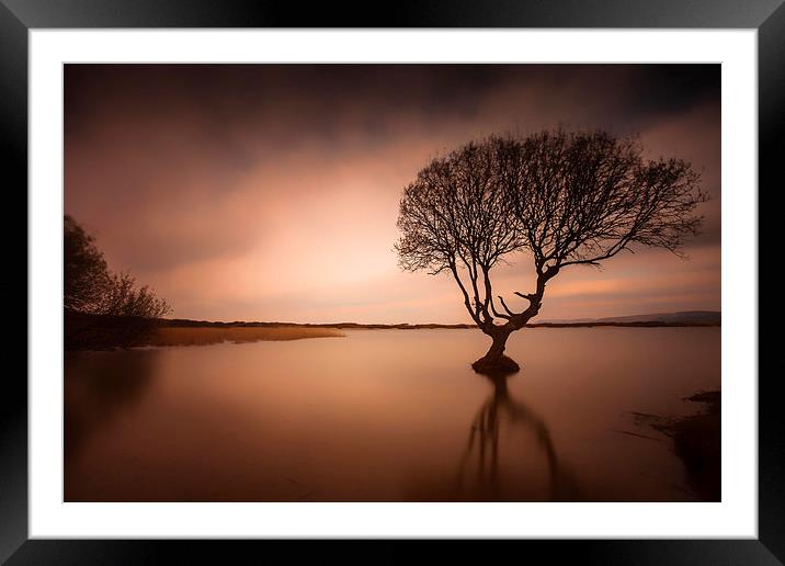  Kenfig pool and tree Framed Mounted Print by Leighton Collins