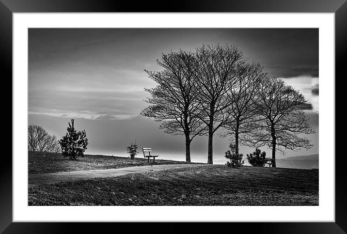  A bench in Ravenhill park Framed Mounted Print by Leighton Collins