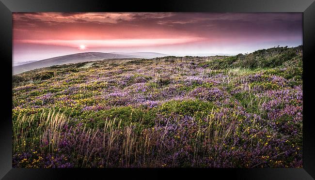  Gower sunset at Cefn Bryn Framed Print by Leighton Collins