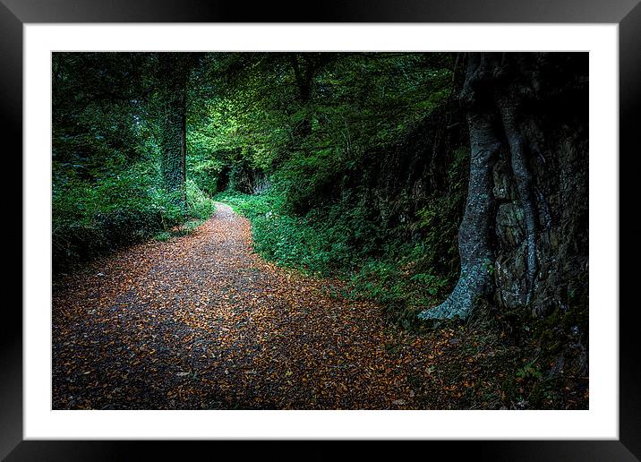  Golden Autumn lane  Framed Mounted Print by Leighton Collins
