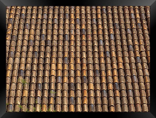 Spanish terracotta roof tiles Framed Print by Leighton Collins