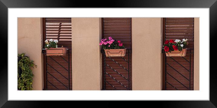  Spanish window boxes Framed Mounted Print by Leighton Collins
