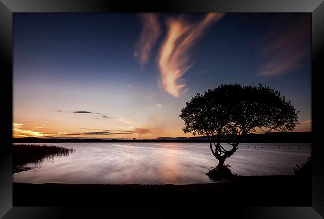  Kenfig Pool and tree Framed Print by Leighton Collins