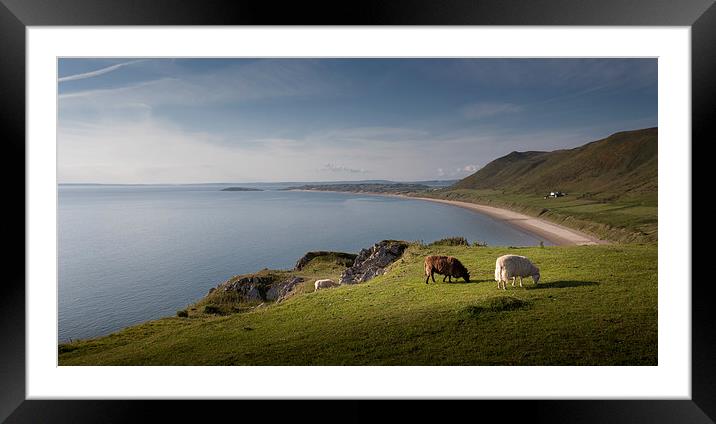  Sheep at Rhossili bay Framed Mounted Print by Leighton Collins